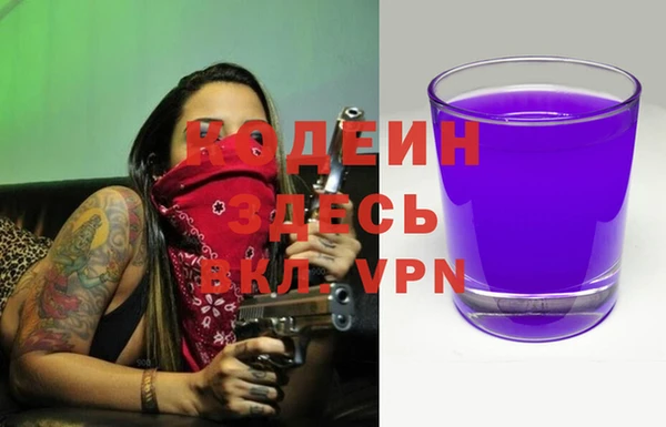 индика Елизово