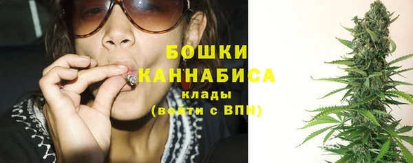 винт Ельня