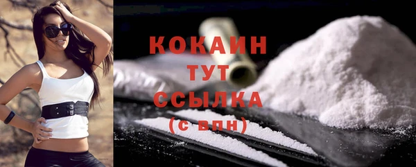 индика Елизово