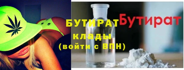 индика Елизово