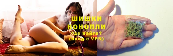 винт Ельня