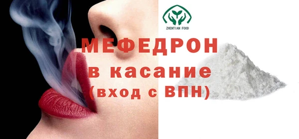 индика Елизово
