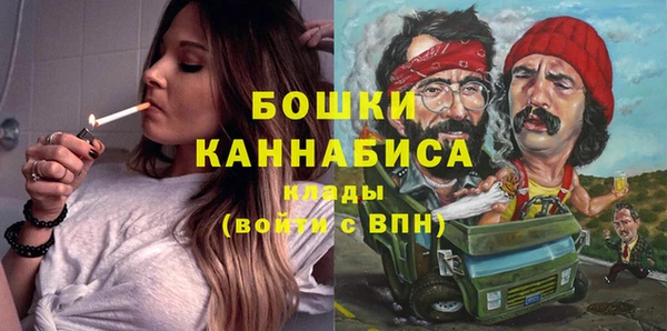стаф Дмитров