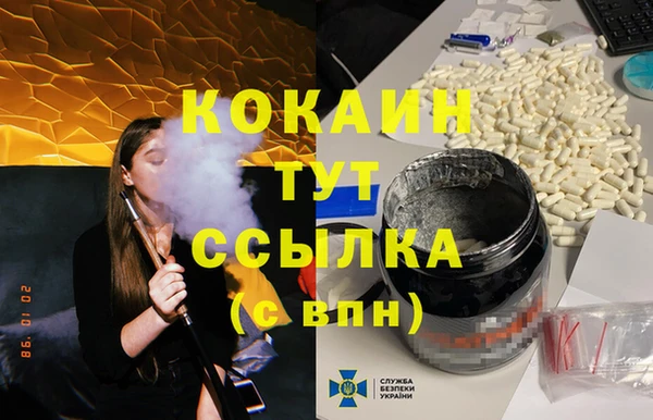 индика Елизово