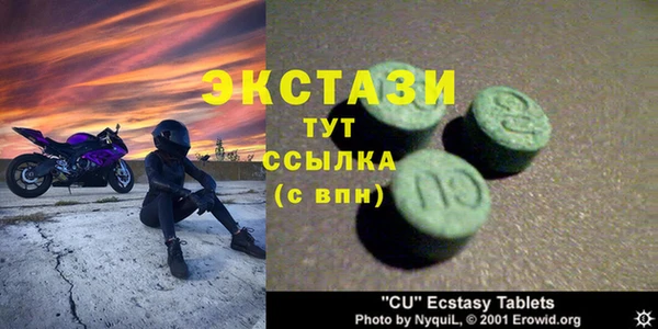 индика Елизово