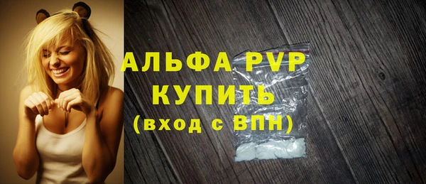 винт Ельня