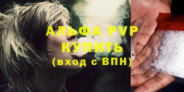 винт Ельня