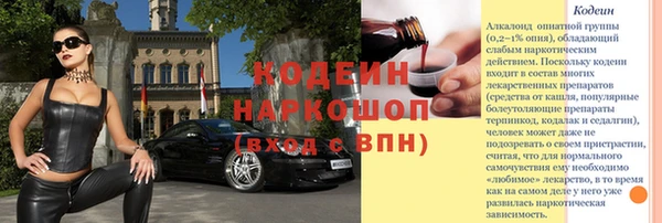 индика Елизово
