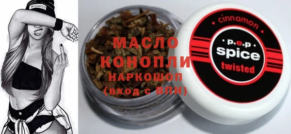 индика Елизово