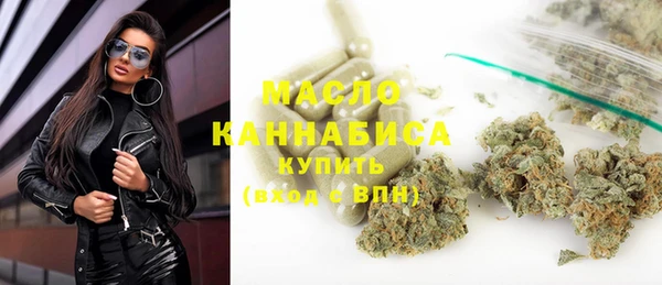 индика Елизово