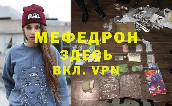 индика Елизово