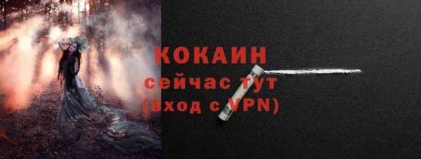 винт Ельня